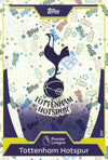 289. TOTTENHAM HOTSPUR - CLUB BADGE