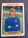 213. David Nish - Leicester City