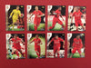 LIVERPOOL TOPPS PREMIER GOLD 2015