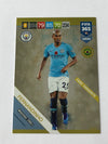 UE065. FERNANDINHO - MANCHESTER CITY - FANS FAVOURITE